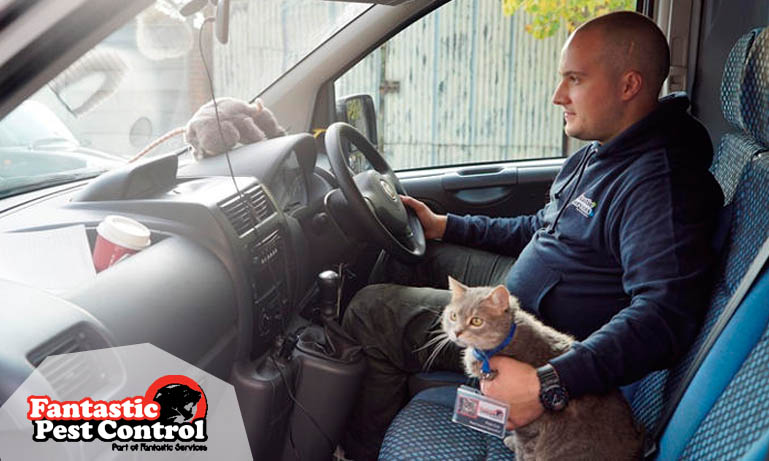 Fantastic Pest Control - Tom the Cat on the Roll Fantastic Pest Control - Tom the Cat on the Roll