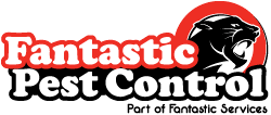 Who is responsible for pest control when renting Who is responsible for pest control when renting