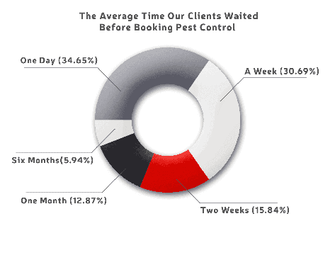 how fast people contact pest control companies