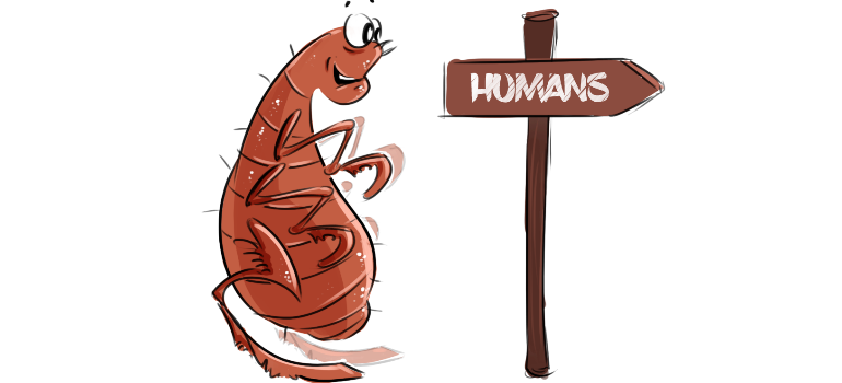 Do fleas live on humans? Do fleas live on humans?