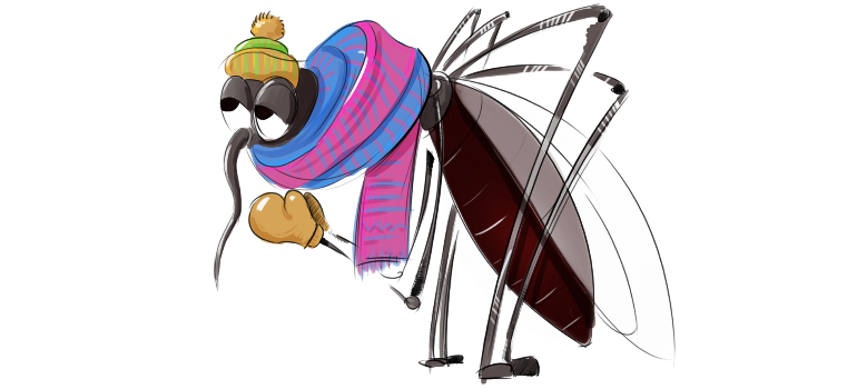 How do mosquitoes survive the winter? How do mosquitoes survive the winter?