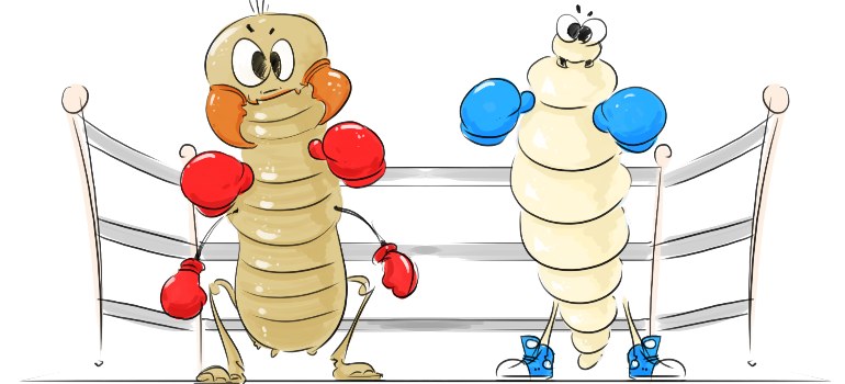 What's the difference between woodworm and termites? What's the difference between woodworm and termites?