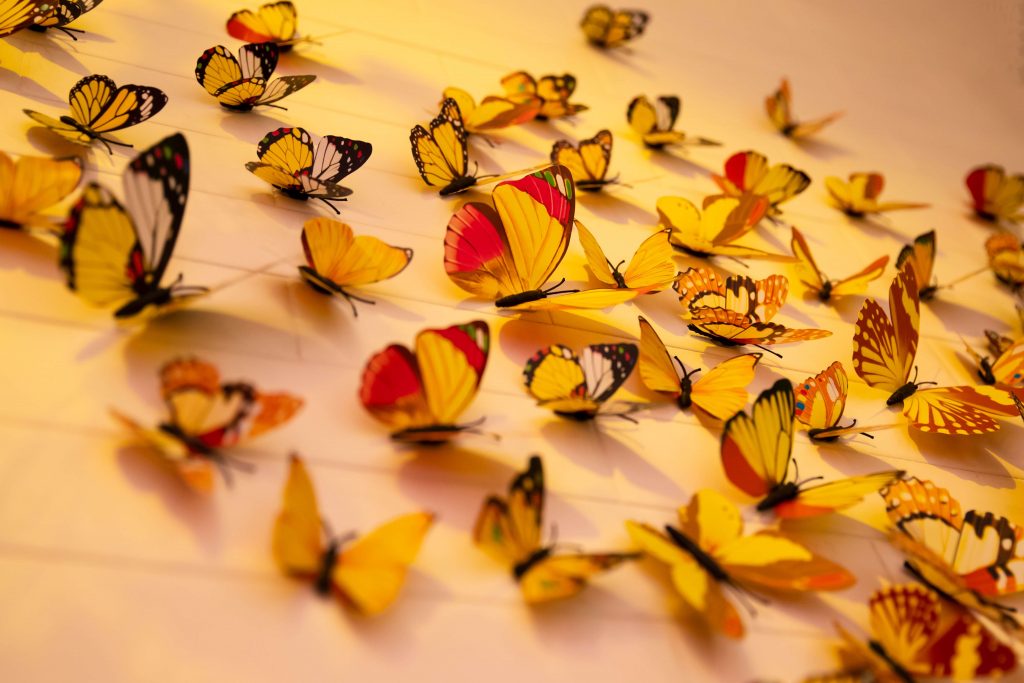 Butterflies