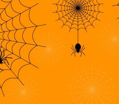 halloween spiders and pests