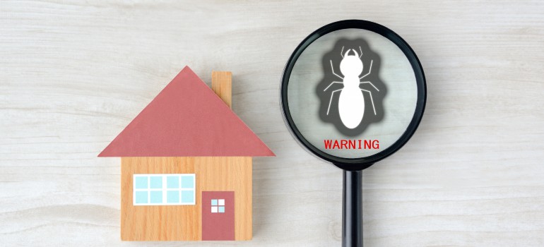 house pest inspection