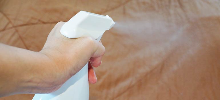 Can vinegar help to kill bed bugs