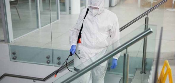 How often should pest control be done?