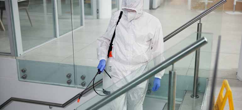 How often should pest control be done?