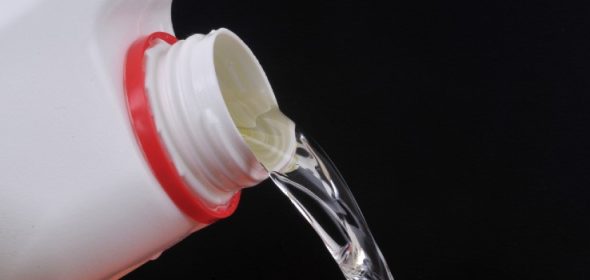 Can bleach really deter rats, or is it just a myth?