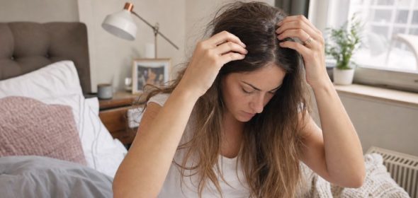 Can bed bugs actually live in your hair or is it just another myth