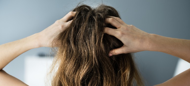 Is it possible that bed bugs are living in my hair?