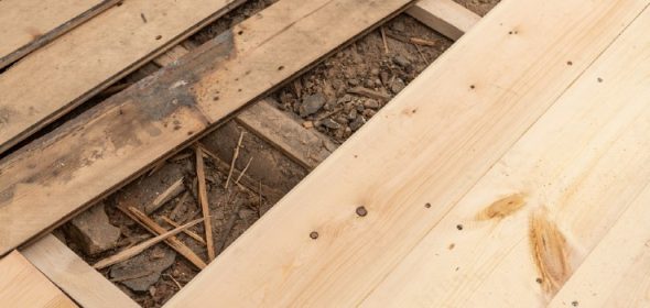 When looking for mice under floorboards