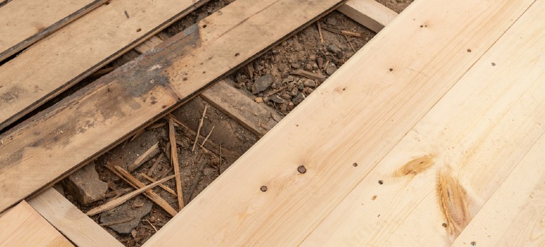 When looking for mice under floorboards