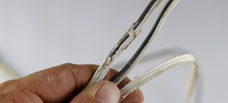 how to tell if a mouse are chewing on wires