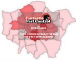 Infographic Myths & Facts About Pests - Fantastic Pest Control