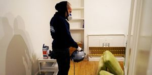 Pest technician fumigates for flying insects