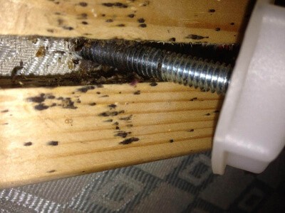 Signs of Bed Bugs - How to Find Bed Bugs | Fantastic Pest