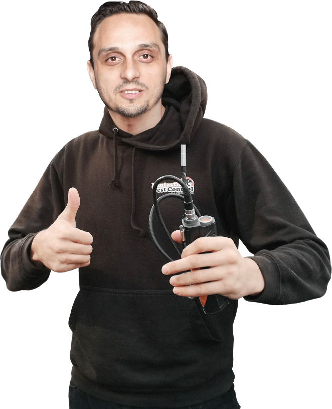 Local Pro