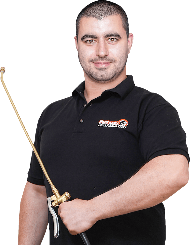 Local Pro