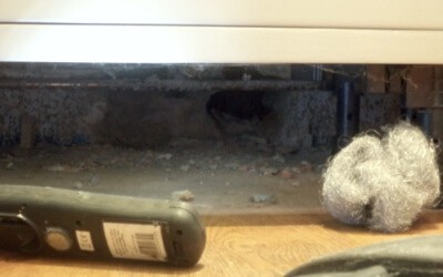 Damage from a mouse nest Damage from a mouse nest